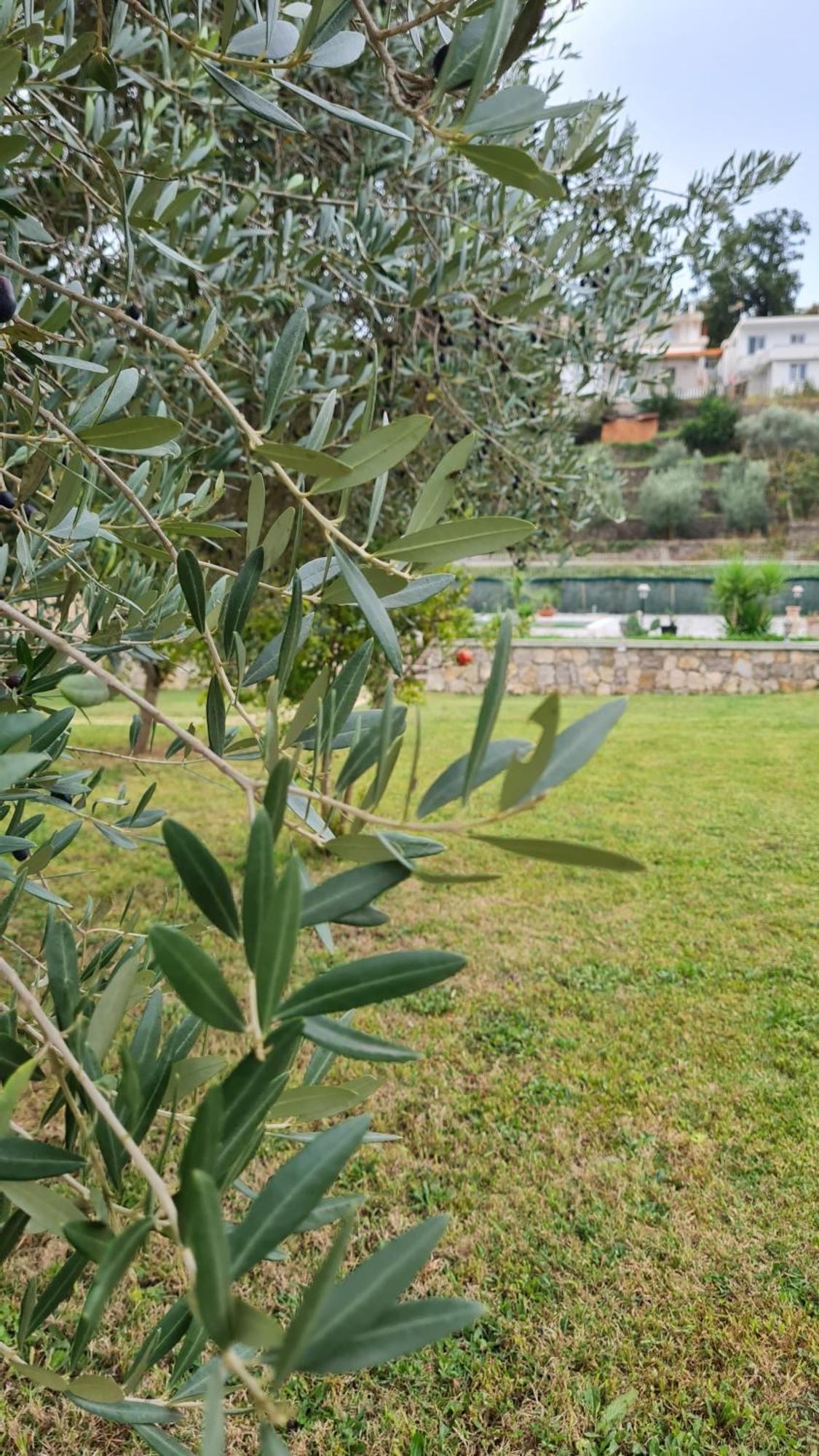 La Hacienda Hotel Ulcinj Eksteriør billede